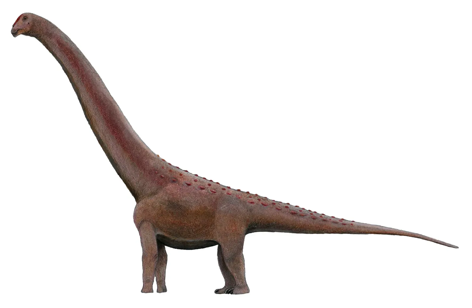 Not Every Dinosaur Was a Walking Rainbow (By Levi Martinez-Reza, CC BY-SA 3.0)