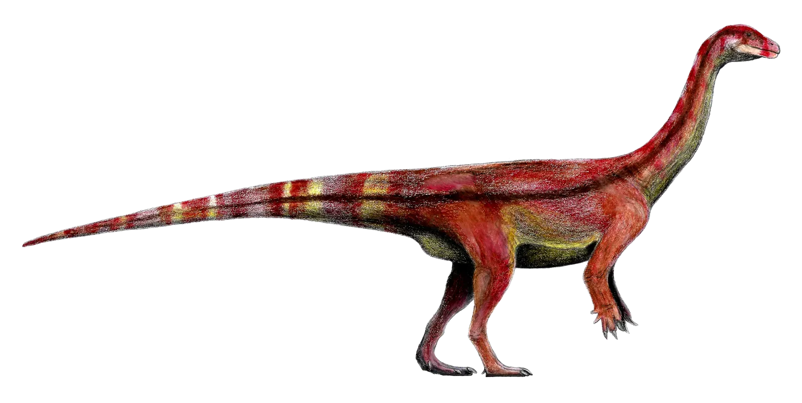 A Brand-New Dinosaur Species Found on the Flooded Shores of a Zimbabwean Lake (Image Credits: Wikimedia)