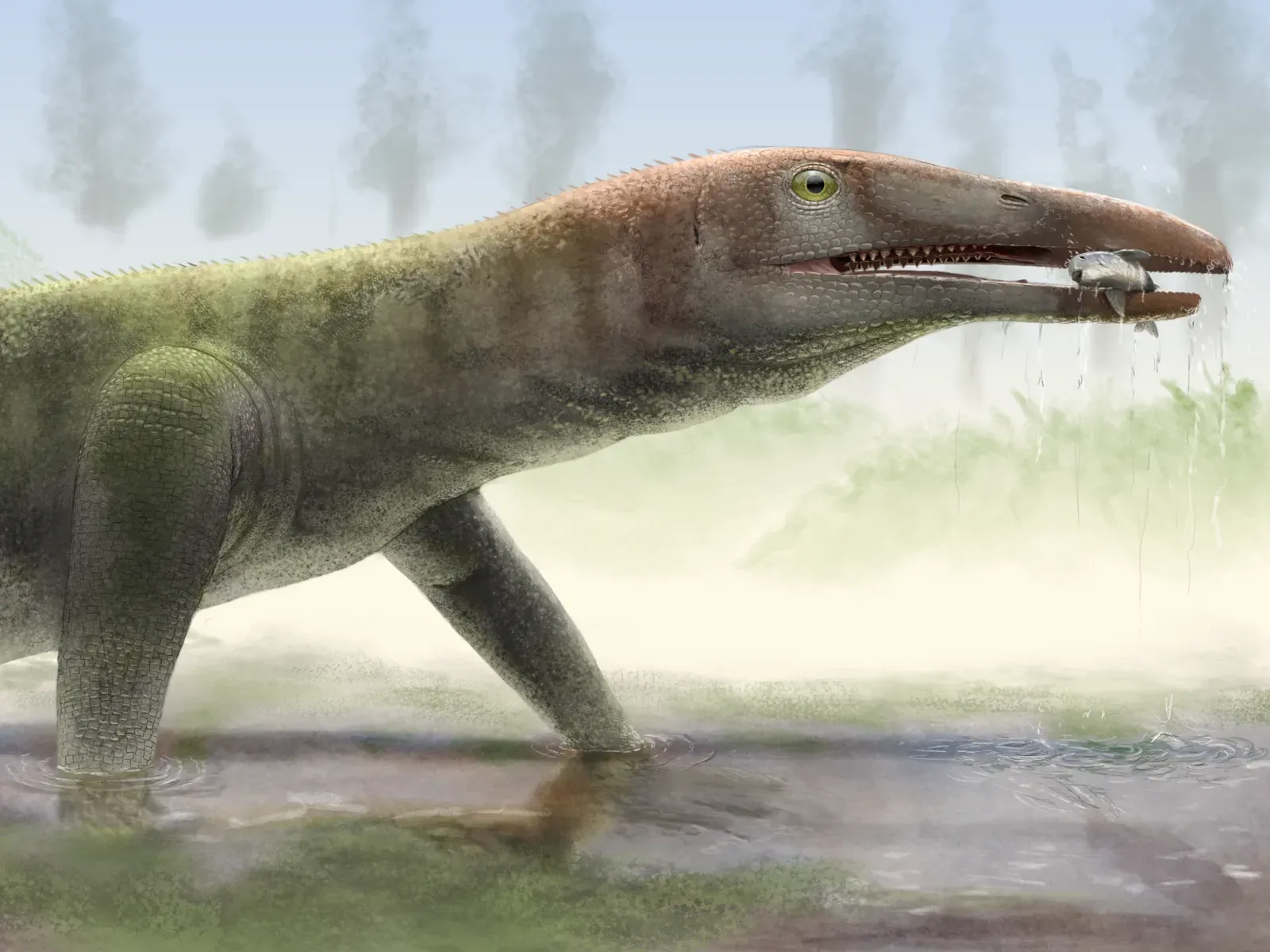 Body Size Explosion: Filling the Ecological Space Before Anyone Else Could (Image Credits: Wikimedia)