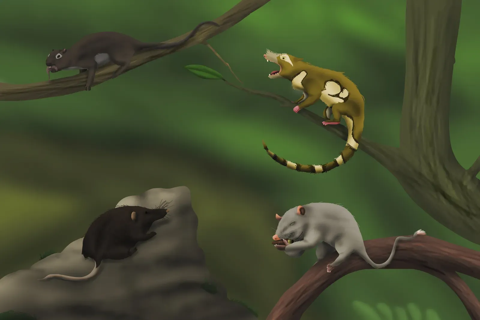 Enhanced Smell and Nocturnal Senses: Winning in the Dark (By YellowPanda2001, CC BY 4.0)