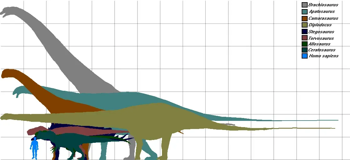 Body Mass Ranged From Tiny to Absolutely Gigantic (Image Credits: Wikimedia)