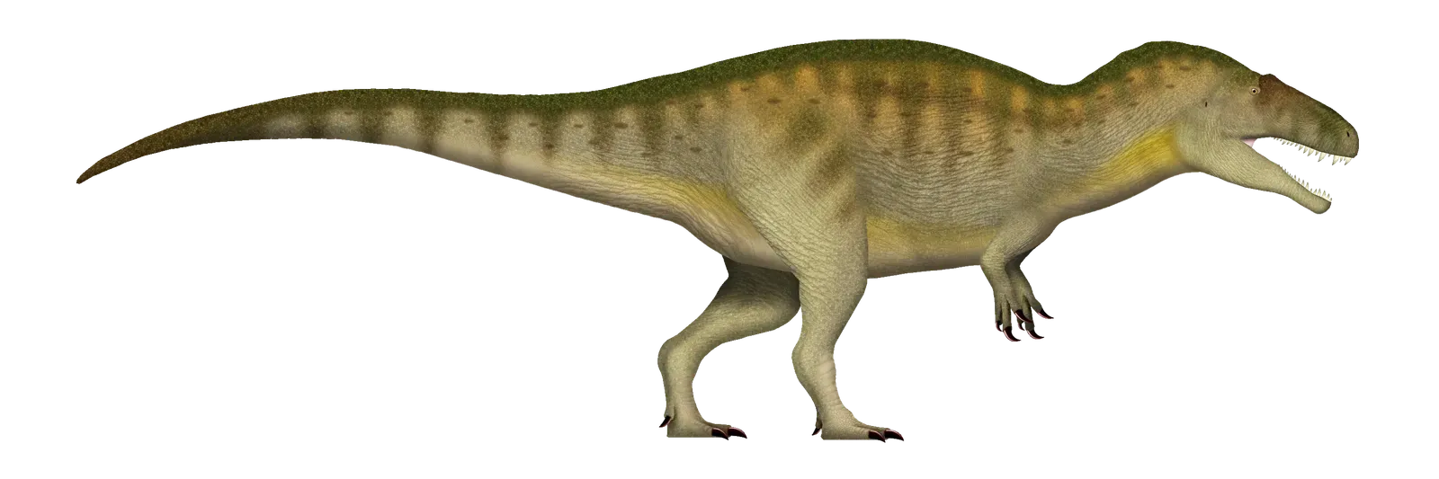 Acrocanthosaurus: The High-Spined Hunter of North America (Image Credits: Wikimedia)