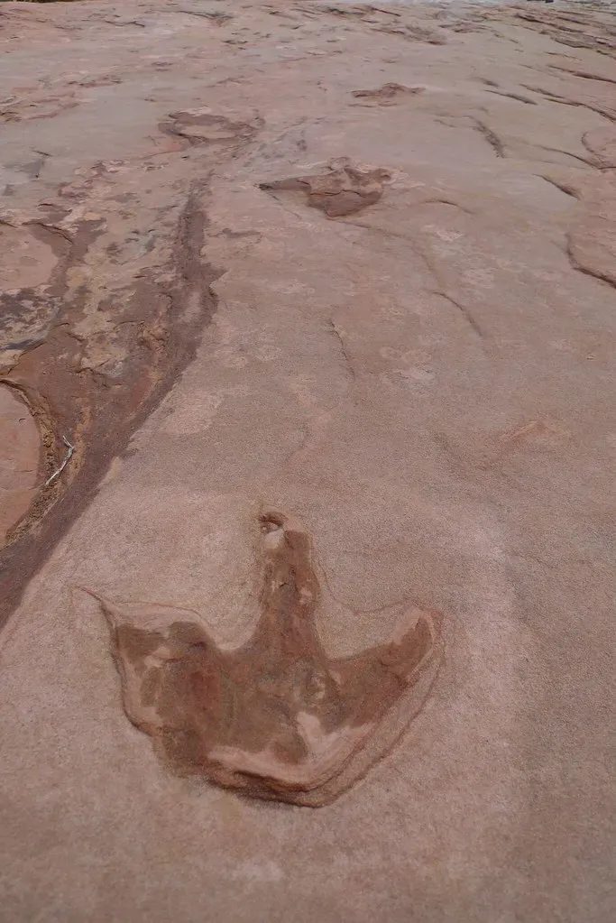 Speed Demons: Faster Than We Ever Imagined (Image Credits: Flickr)