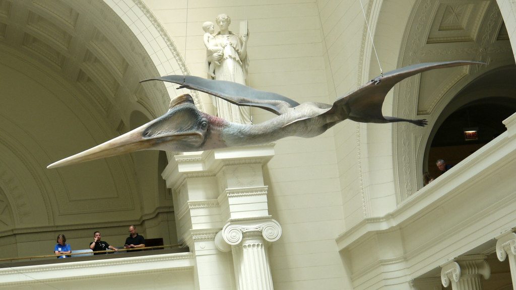 The Ultimate North American Giant: Quetzalcoatlus (Image Credits: Flickr)