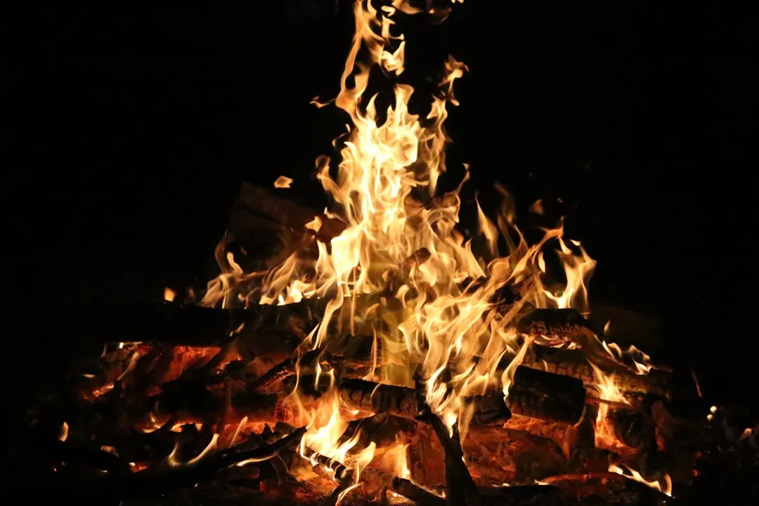 Fire, Shelter, And Ingenious Micro-Climates (Image Credits: Unsplash)