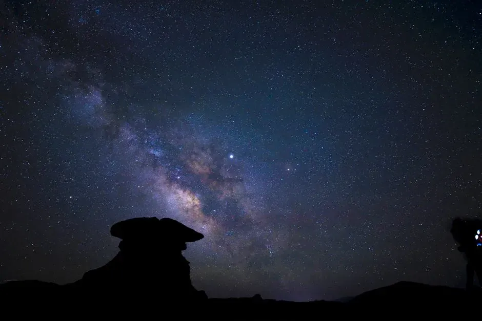 Prehistoric Navigation: How Ancient Creatures May Have Used the Heavens (Image Credits: Pexels)