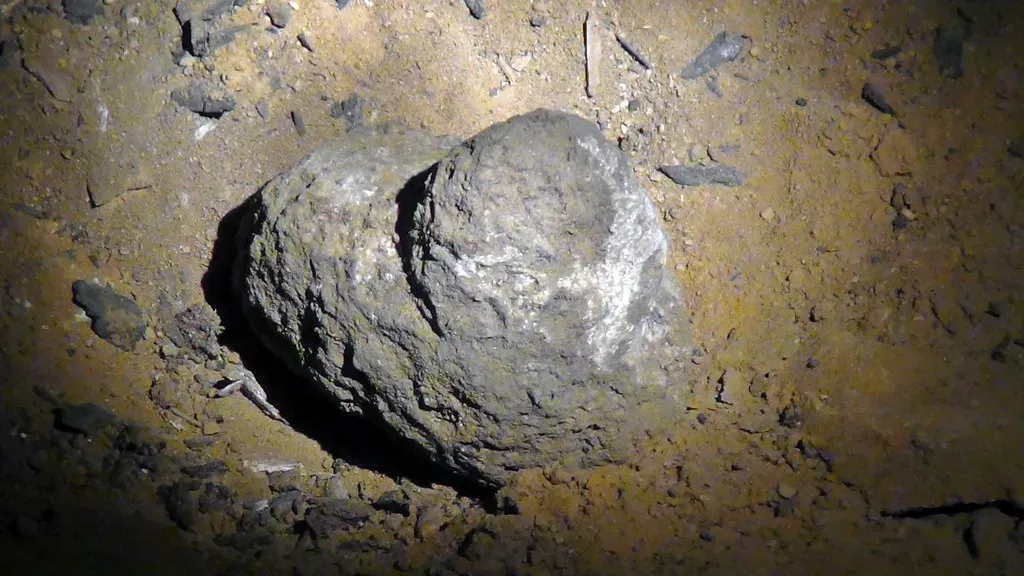 Why Poop Deserves a Place at the Center of Archaeology (James St. John, Flickr, CC BY 2.0)
