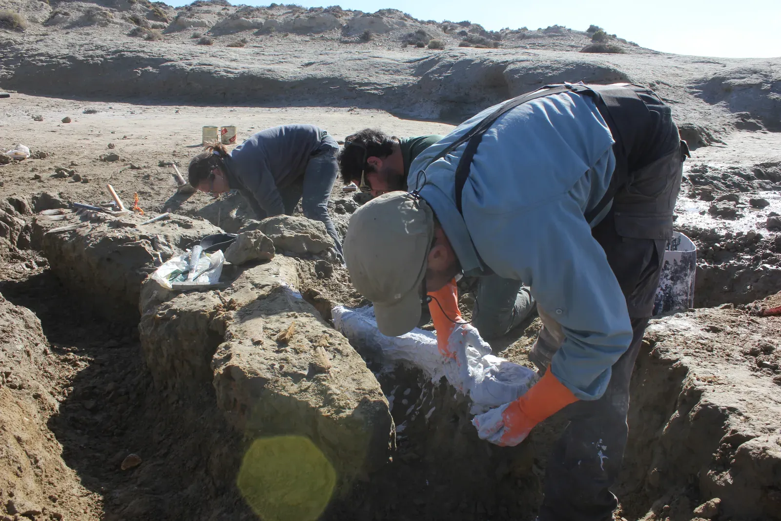 Practice the Long Game Perspective (Image Credits: Wikimedia)