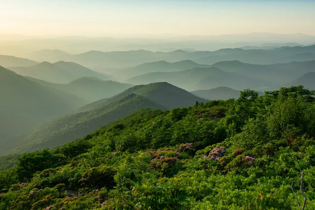 Older Than Dinosaurs: Putting Appalachian Time Into Perspective (Image Credits: Unsplash)