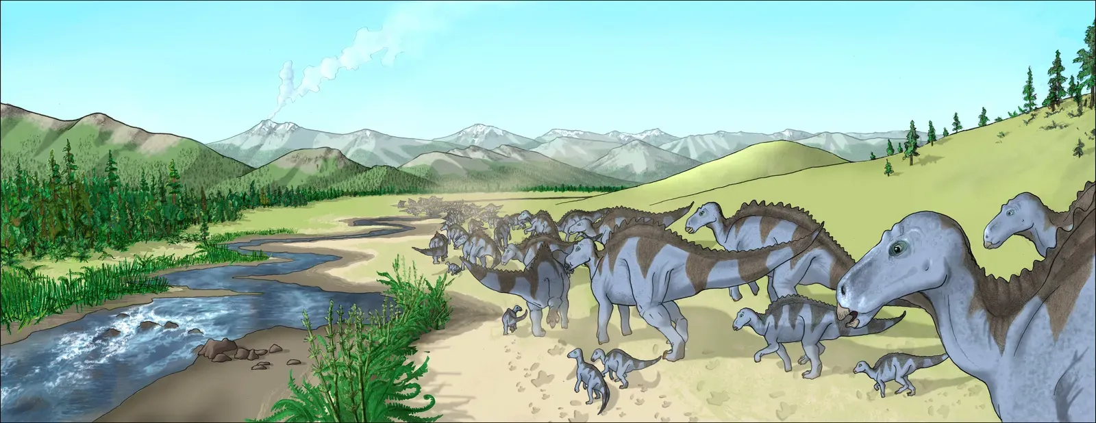 If You Thrive in Crowds: The Hadrosaur Herd Insider (English Wikipedia, CC BY-SA 3.0)