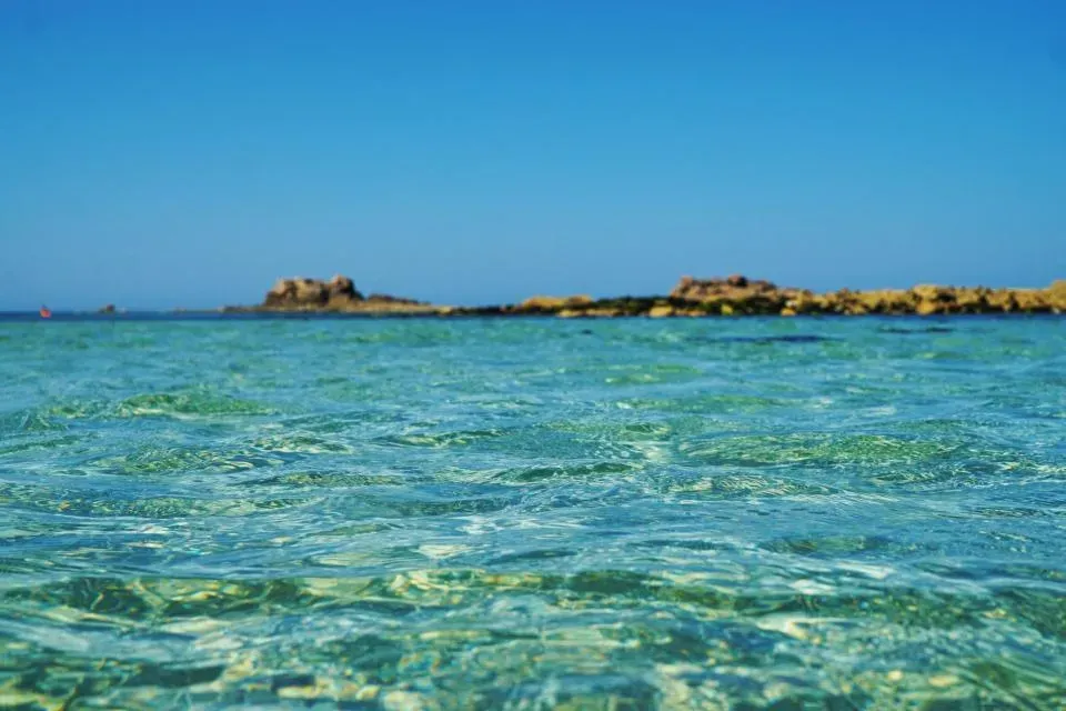 Conclusion: An Ocean That Keeps Reinventing Itself (Image Credits: Stocksnap)
