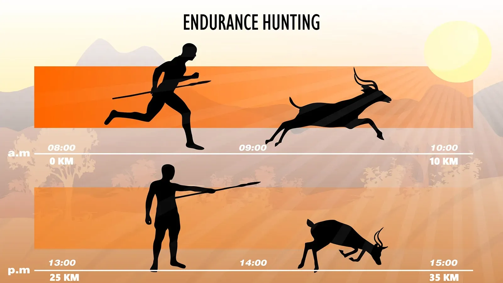 Running Prey Into Exhaustion (Image Credits: Wikimedia)