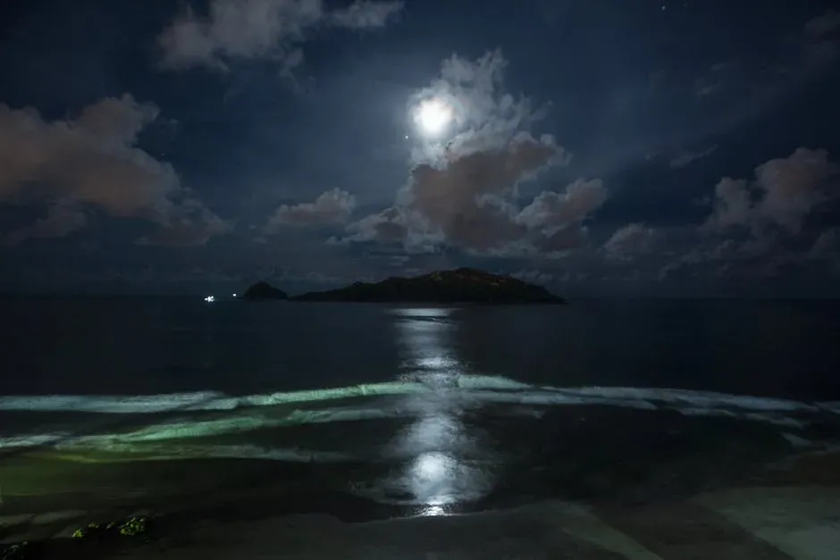 Cancer – Sheltered Moonlit Lagoon Island (Image Credits: Pexels)
