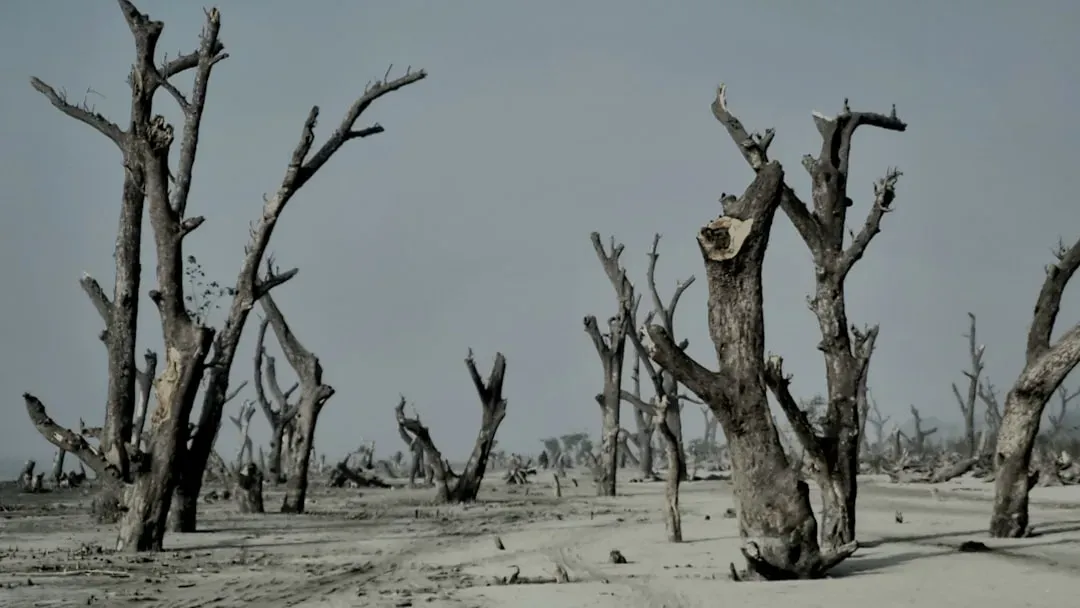 Ecosystems Take Geological Time to Recover (Image Credits: Unsplash)