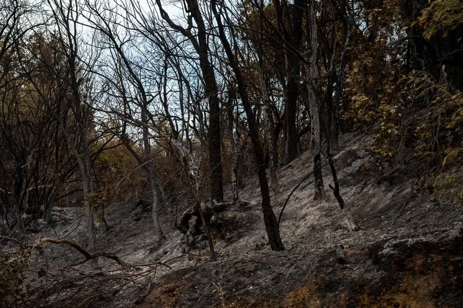 #12 - Centralia, Pennsylvania: The Town Still Burning Underground (Image Credits: Pexels)