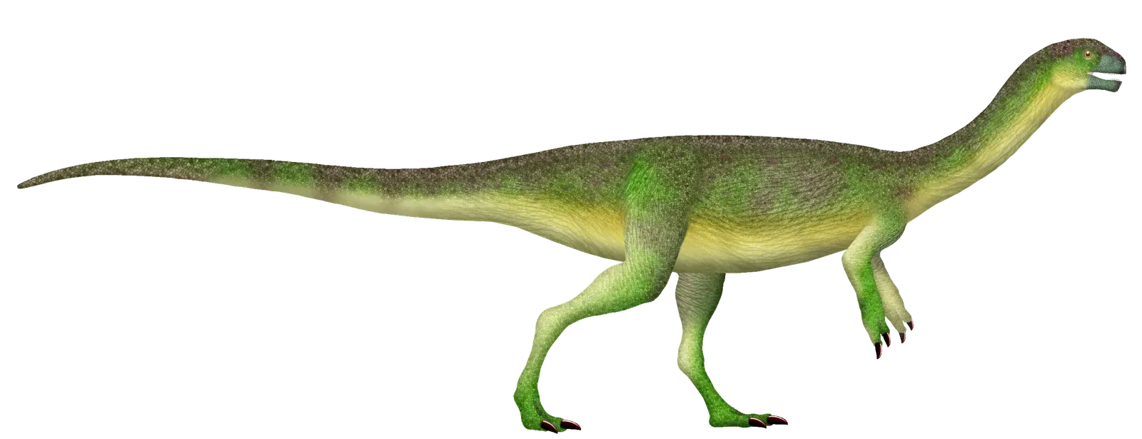 Chilesaurus: The Puzzle That Confused Scientists (Image Credits: Wikimedia)