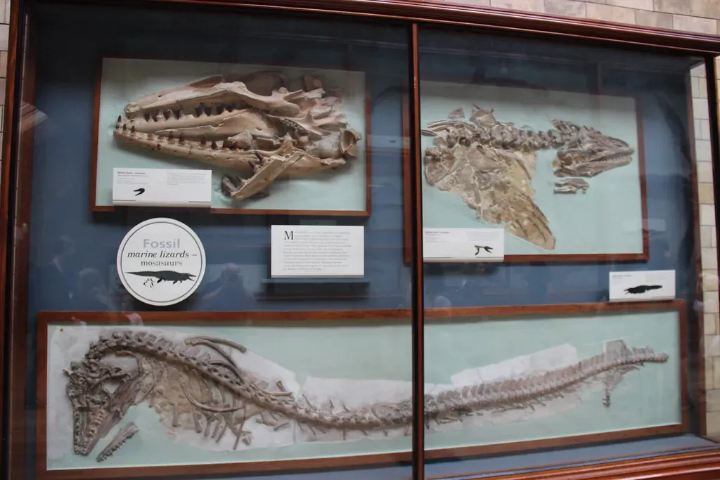 Marine Reptiles Were NOT Dinosaurs - And That Actually Makes Them More Fascinating (Image Credits: Flickr)