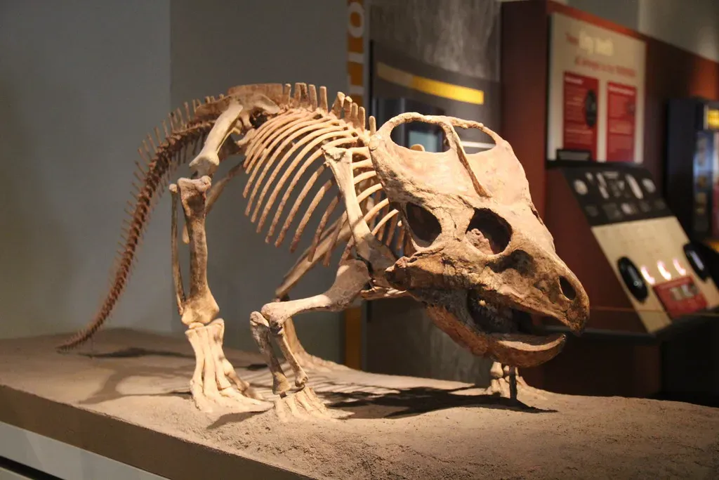 3. The Scythians: Nomads Who Met the Griffin (Image Credits: Flickr)