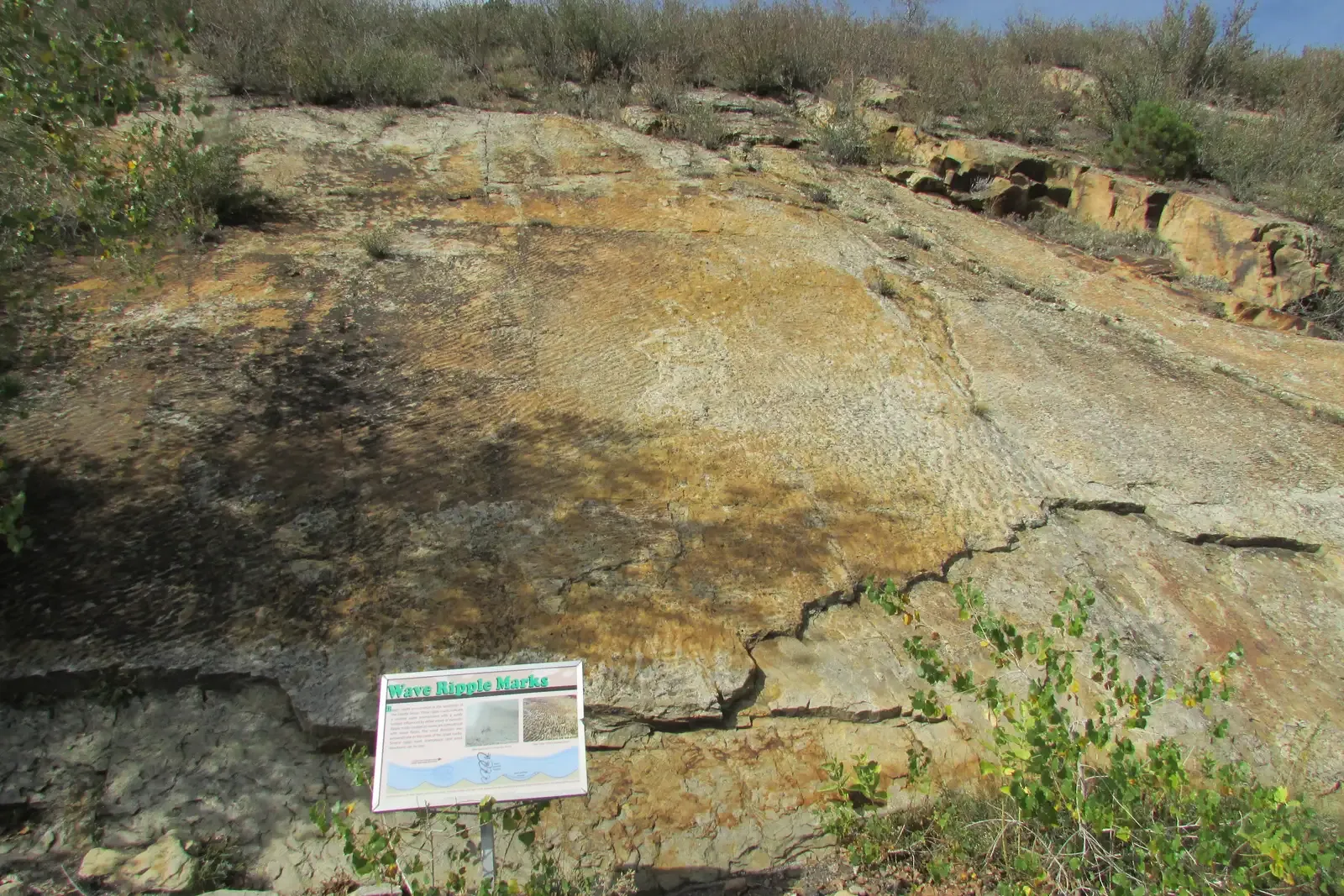 8. Subtle Ripple Marks and Cross-Bedding That Freeze Past Currents in Stone (By Chris Light, CC BY-SA 4.0)