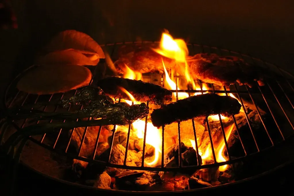 Fire as the Original External Stomach (gabrielsaldana, Flickr, CC BY-SA 2.0)