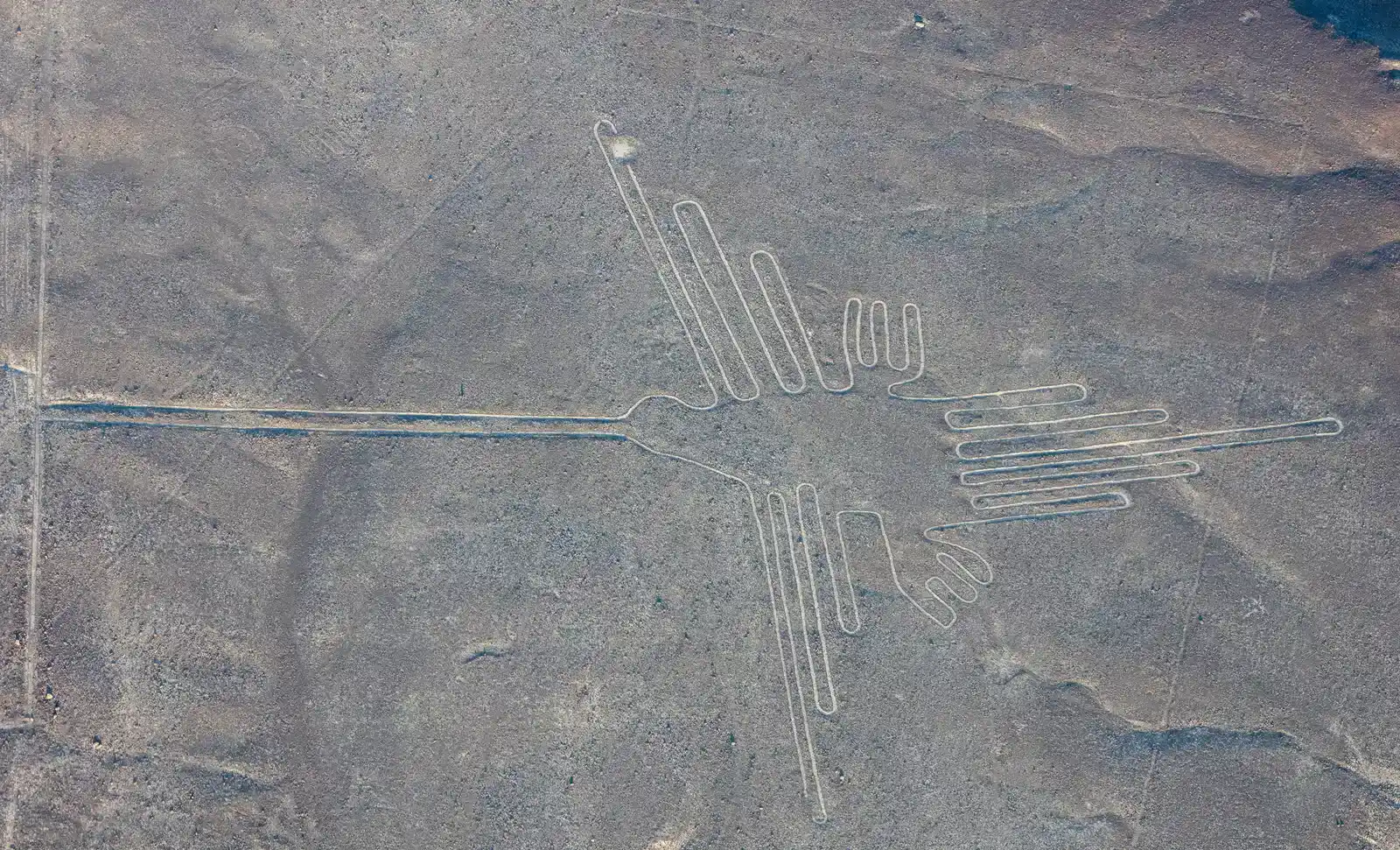 The Nazca Lines: Gigantic Desert Drawings Visible Only From Above (Image Credits: Wikimedia)