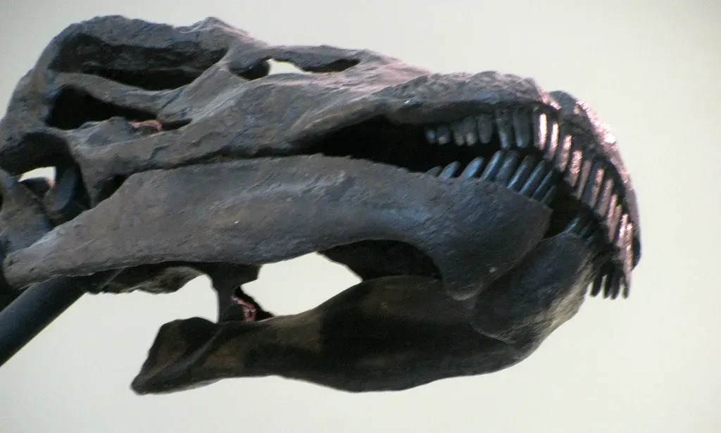 The Embarrassing Part: Wrong Skull, Wrong Name, Right in the Lobby (edenpictures, Flickr, CC BY 2.0)