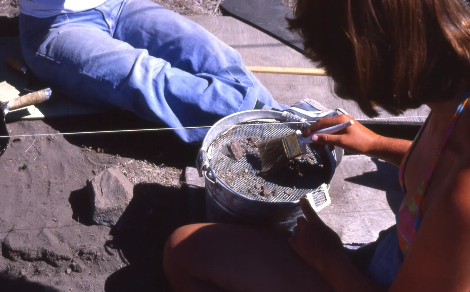 Excavation and Preservation: Protecting the Evidence (Image Credits: Wikimedia)