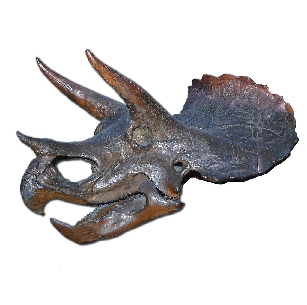 Conclusion: Rethinking Power, Peace, and the Triceratops (Zachi Evenor, Flickr, CC BY 2.0)