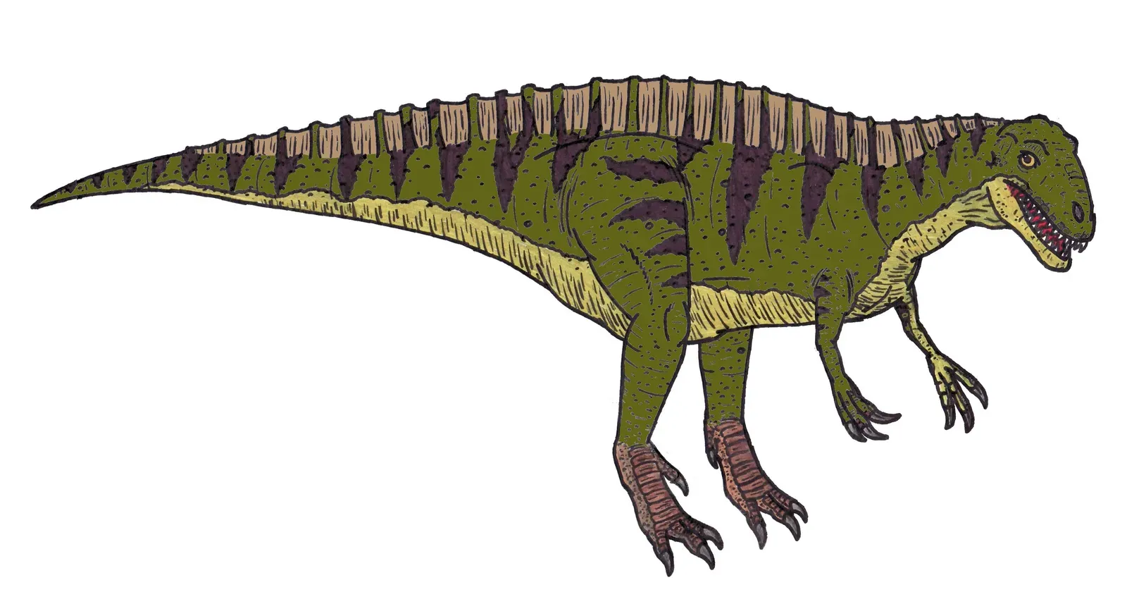 Acrocanthosaurus: North America's High-Spined Titan (Image Credits: Wikimedia)