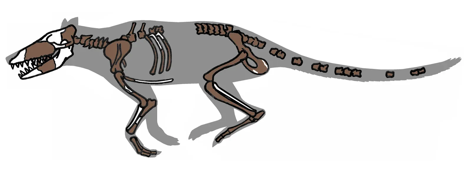 From Four-Legged Land Mammals to Ocean Giants (By Conty, CC BY 3.0)
