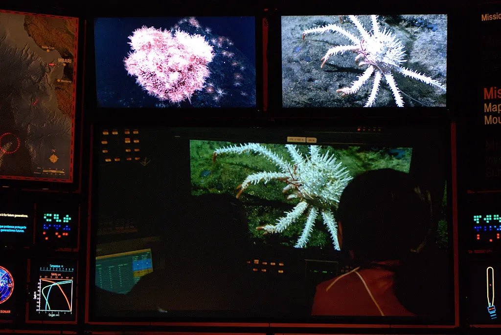 Life Thriving Where It Shouldn't Exist (Image Credits: Flickr)