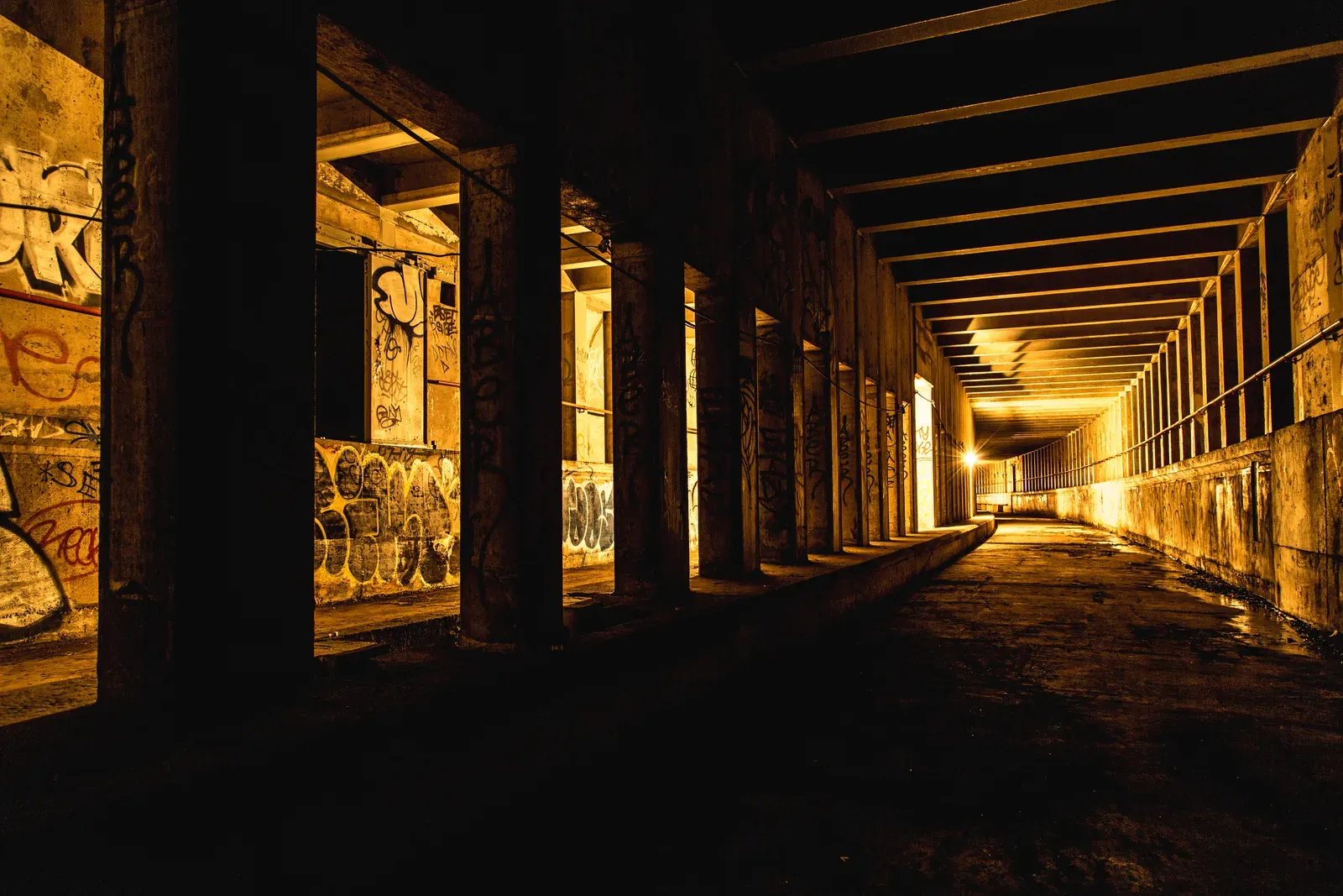 The Bottom Line (untitled, CC BY 2.0)