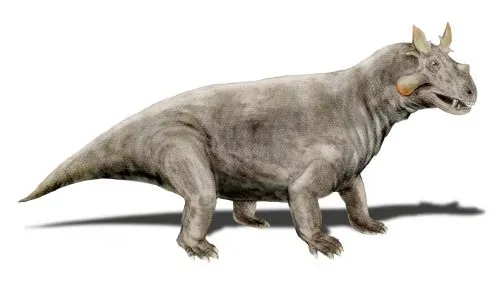 Estemmenosuchus: The Horn-Crowned Mammal Ancestor That Defied All Logic (Image Credits: Wikimedia)