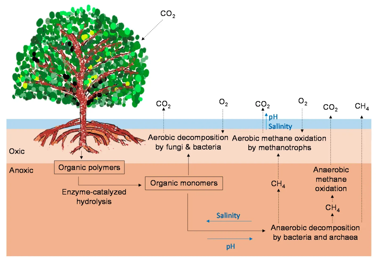 Methane Emissions and Climate Impacts (Image Credits: Wikimedia)