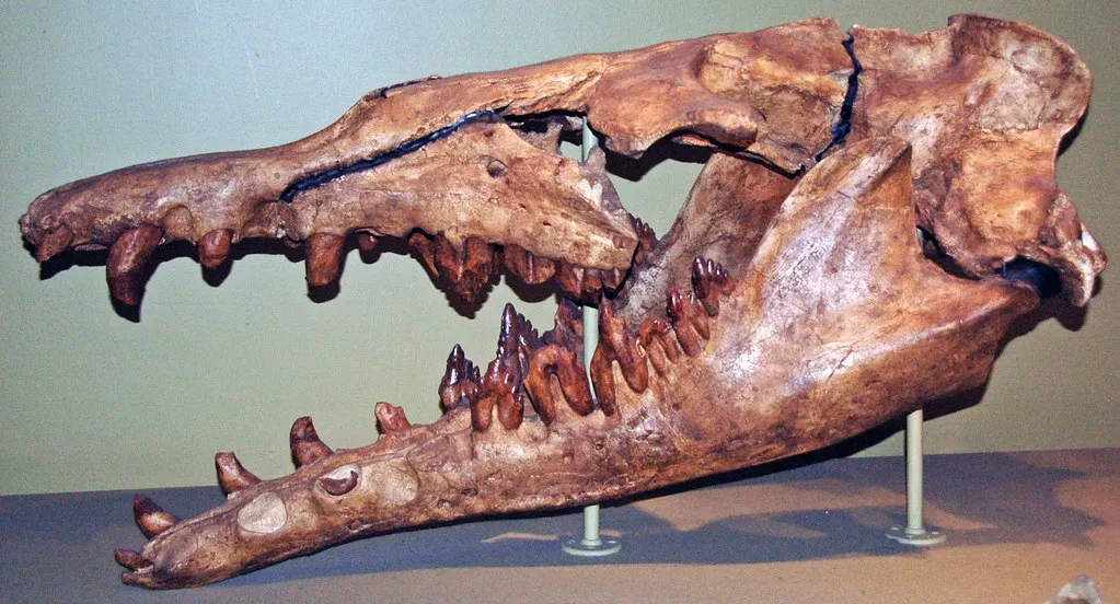 Sea Monsters of the Mammal Age: Basilosaurus and Early Whales (James St. John, Flickr, CC BY 2.0)