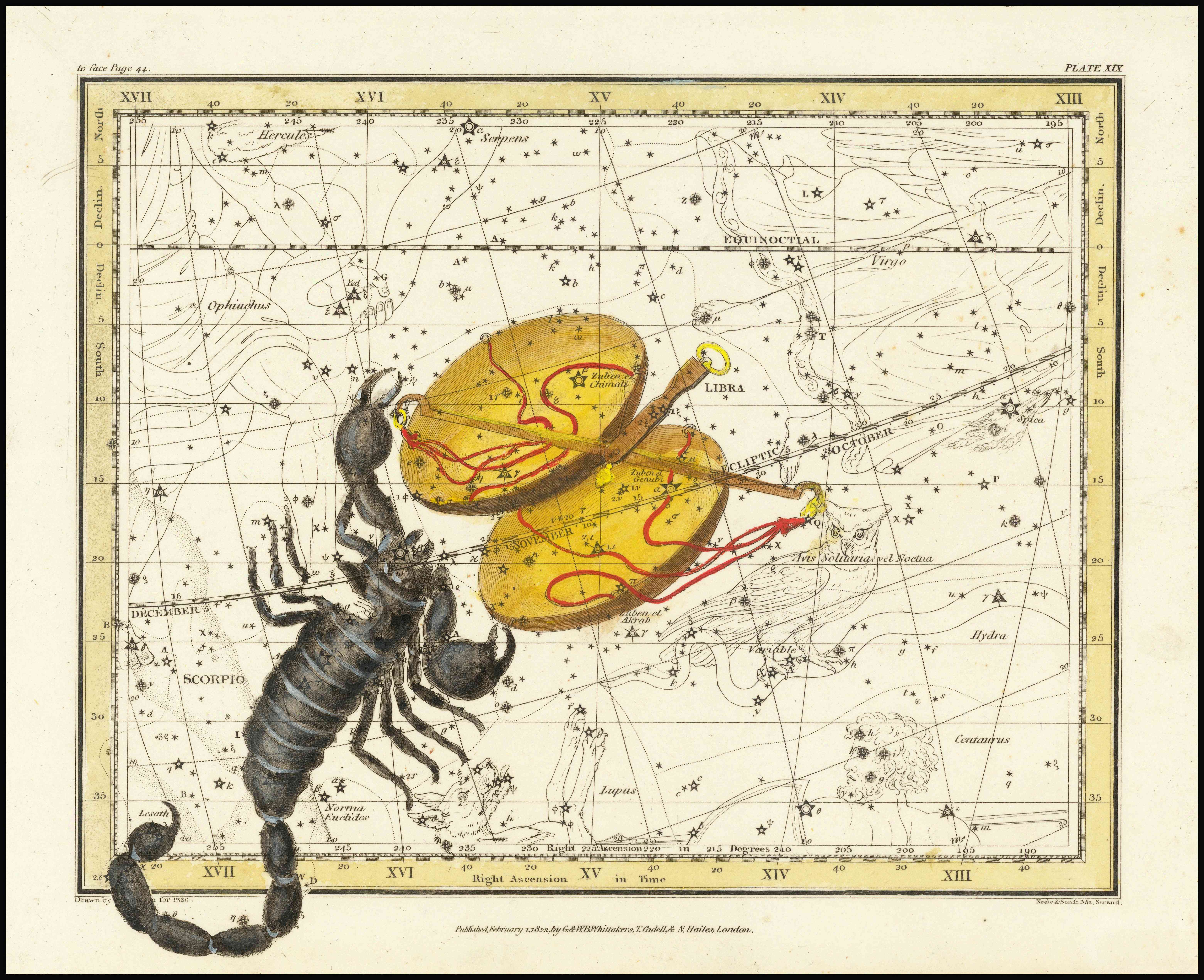 Scorpio: The Cosmic Detective of Transformation (Image Credits: Wikimedia)