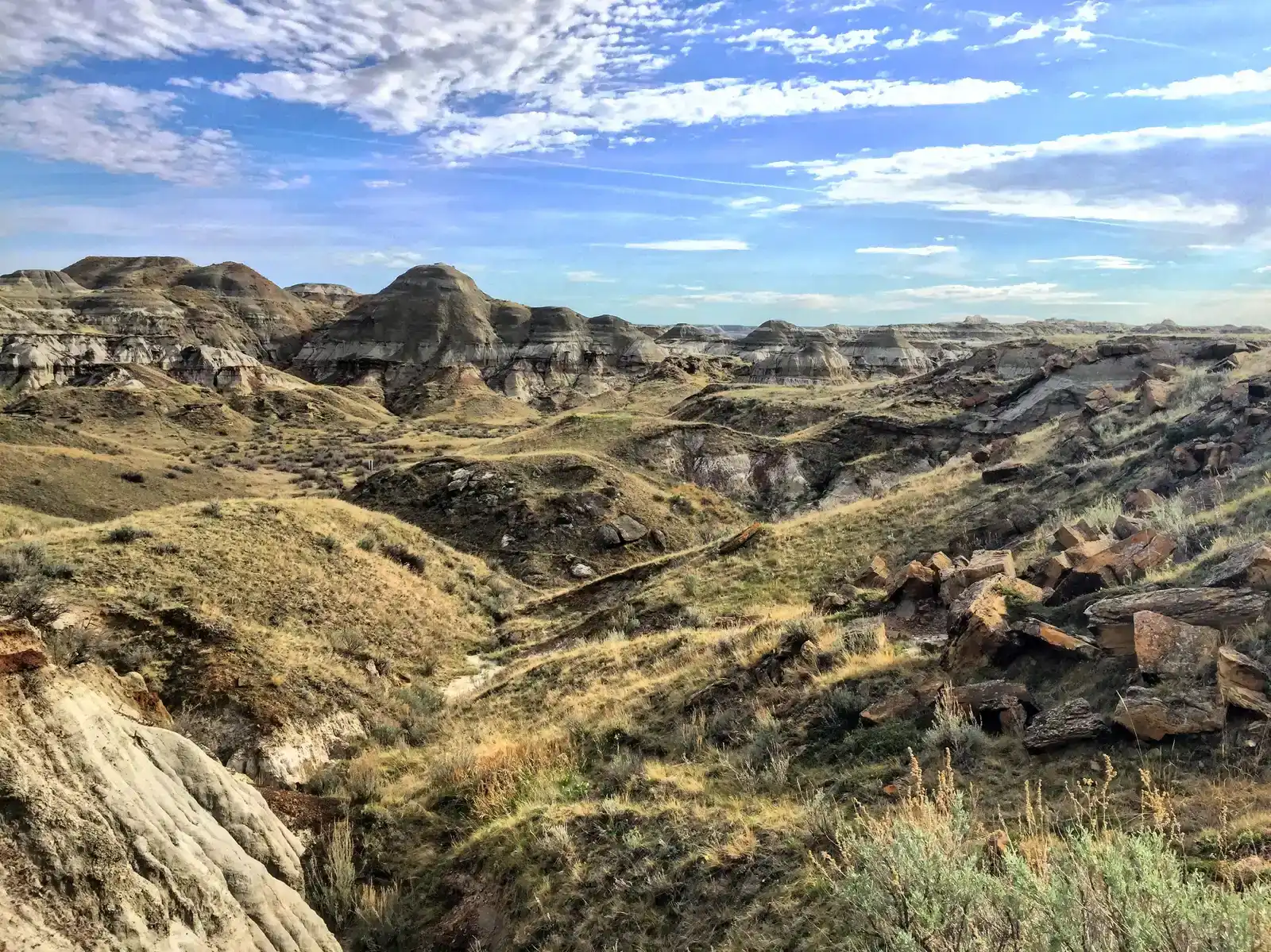 Dinosaur Provincial Park, Alberta: The World's Richest Dinosaur Graveyard (Image Credits: Wikimedia)