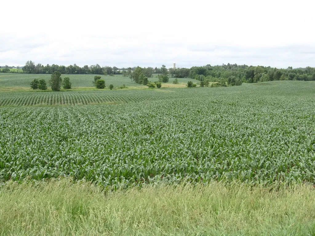 7. Northeast Michigan - Ancient Coral Reefs in Lake Country (Ken Lund, Flickr, CC BY-SA 2.0)
