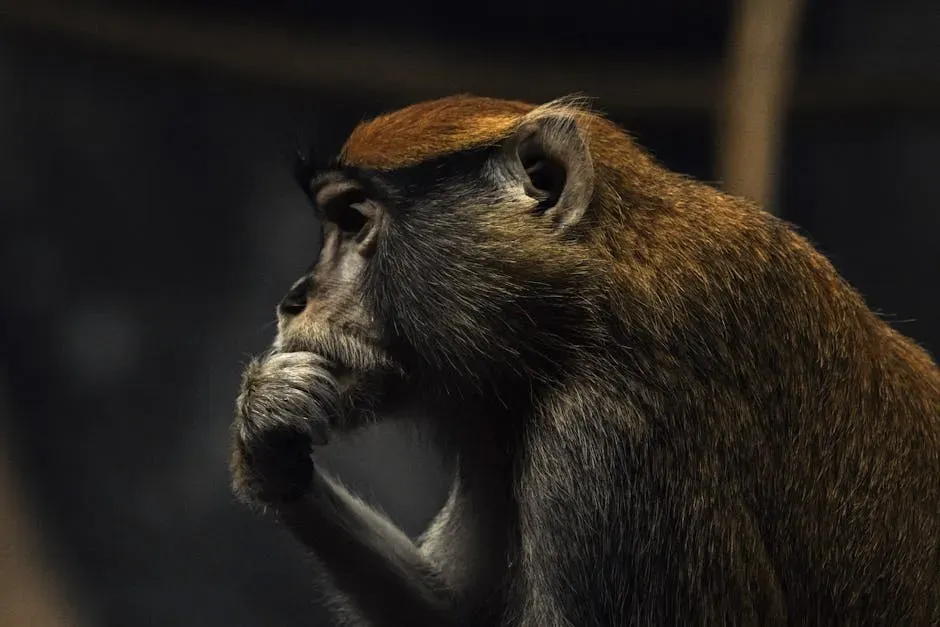 Mammals and the Deep Roots of Human-Like Experience (Image Credits: Pexels)