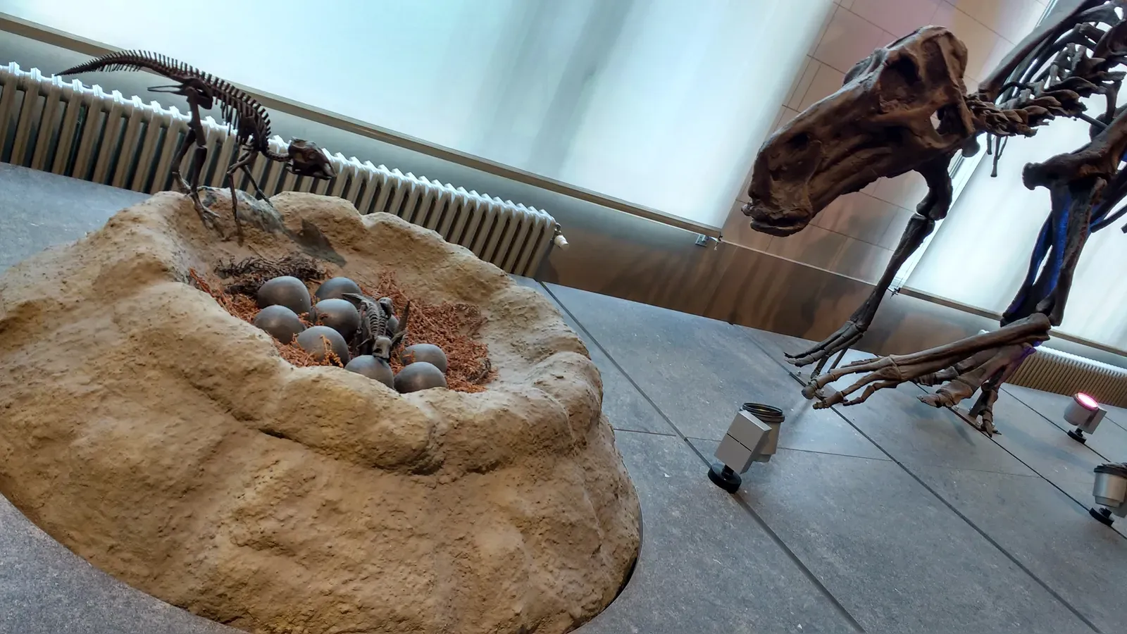 Egg Mountain: A Prehistoric Nursery in Montana (By Fernando Losada Rodríguez, CC BY-SA 4.0)