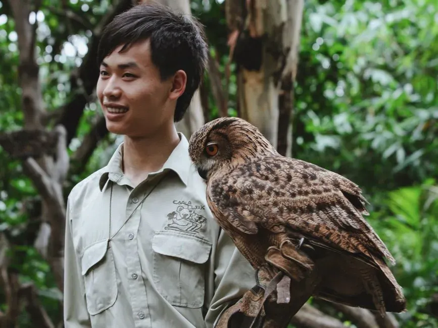 #3 - Researchers Know Individual City Owls by Name (Image Credits: Pexels)