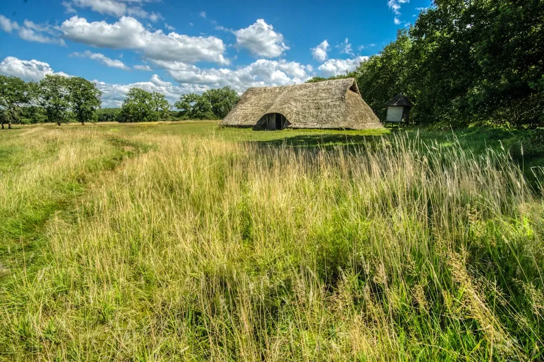 Humans on the Rise: From Hunter‑Gatherers to Early Farmers (Image Credits: Unsplash)