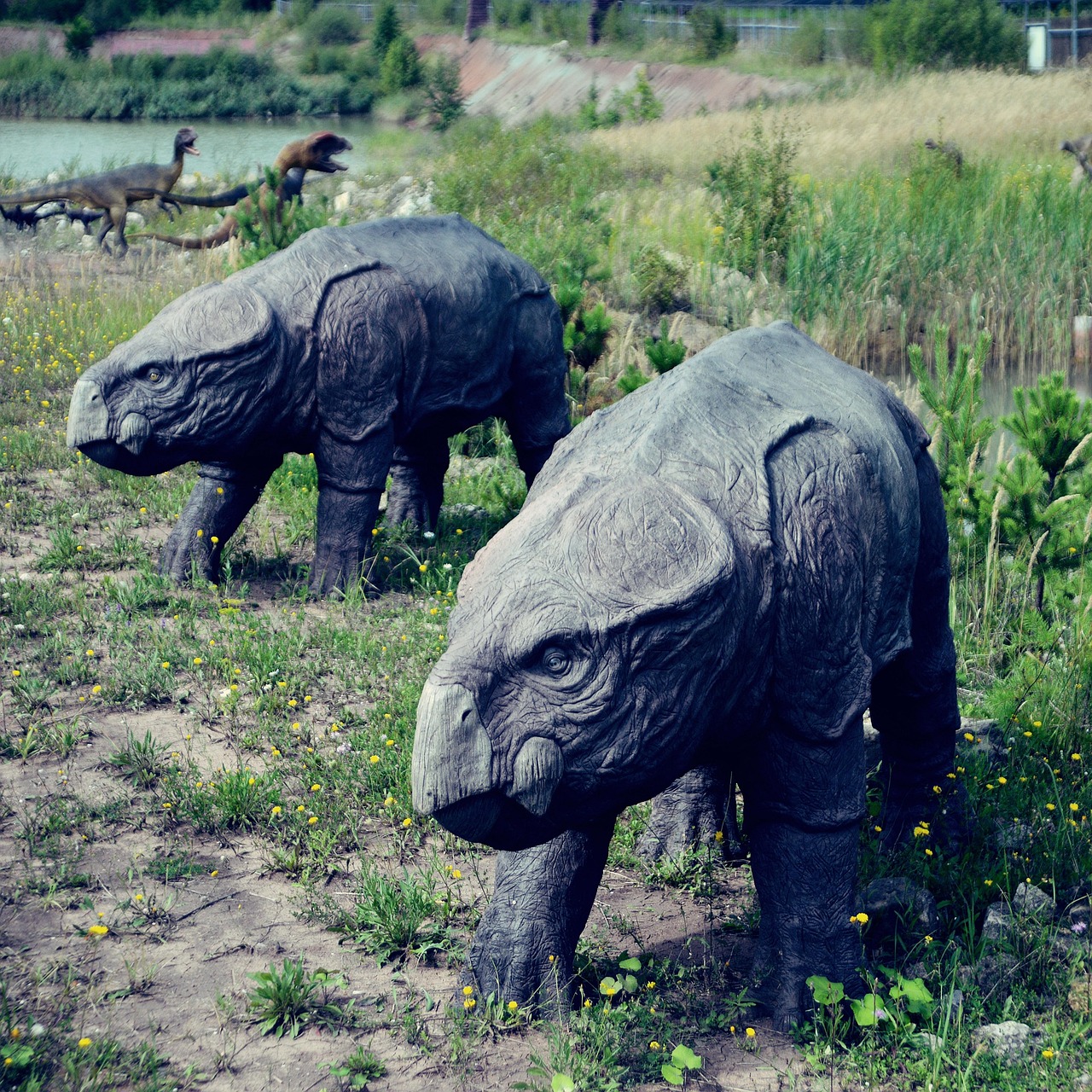 Mammalian Competition and Coexistence (Image Credits: Pixabay)