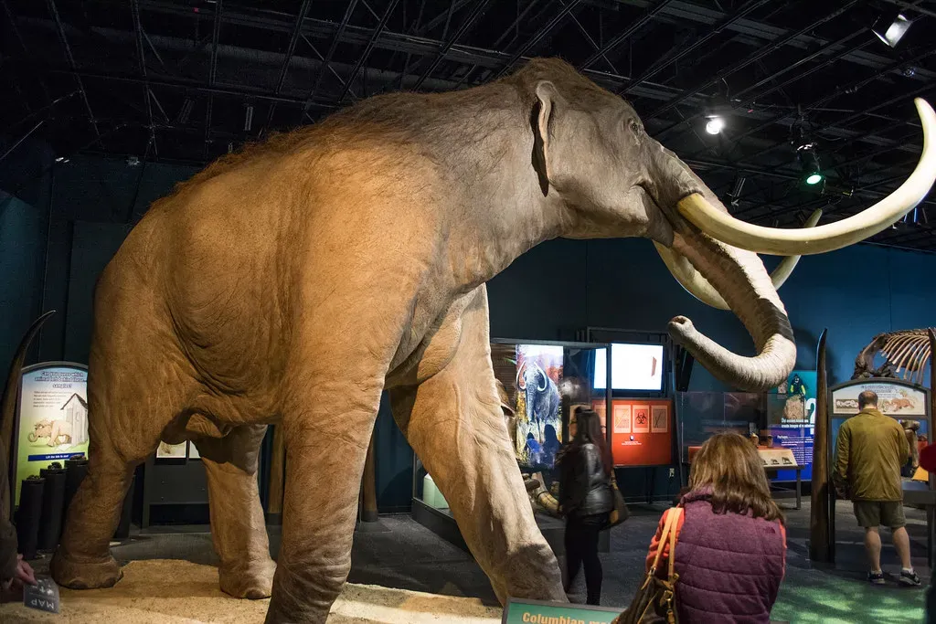 2. Columbian & other American mammoths – neighbors of the first Americans (Tim Evanson, Flickr, CC BY-SA 2.0)