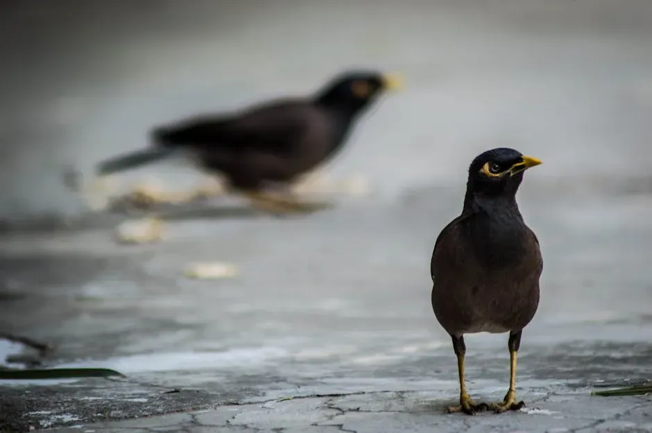 How Birds Beat the Apocalypse: Surviving the Great Dying (Image Credits: Pexels)