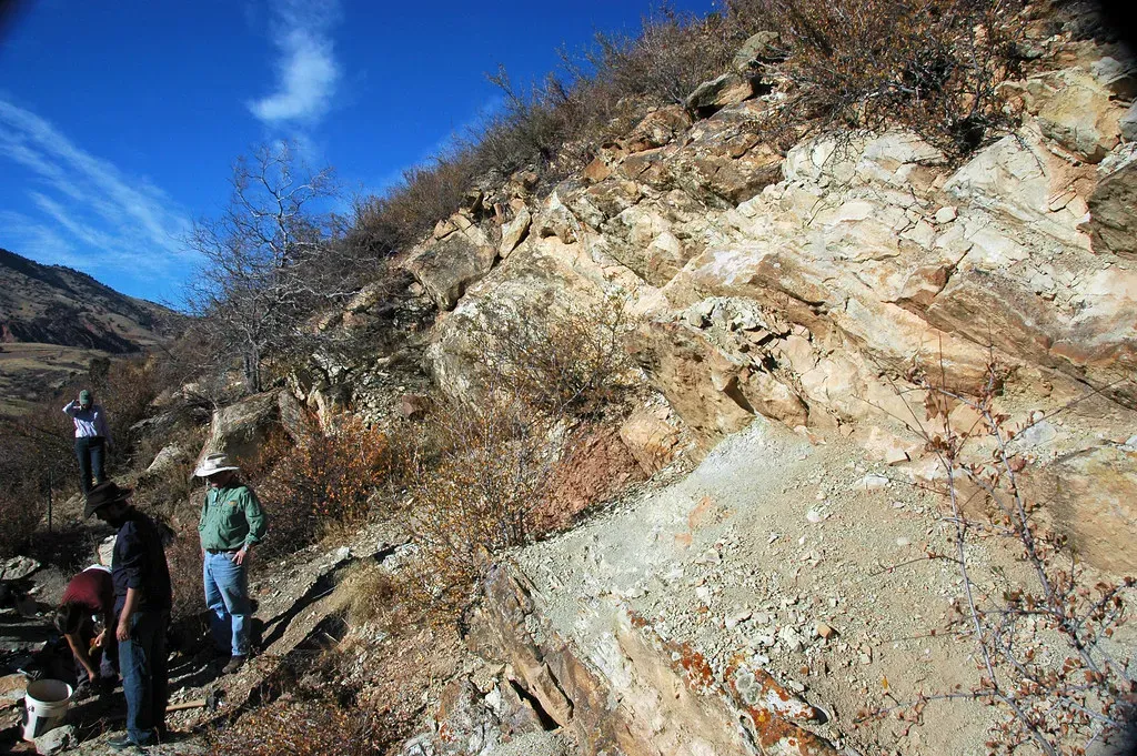 Conclusion: Dinosaurs Are Gone, But the Hunt Is Very Much Alive (James St. John, Flickr, CC BY 2.0)