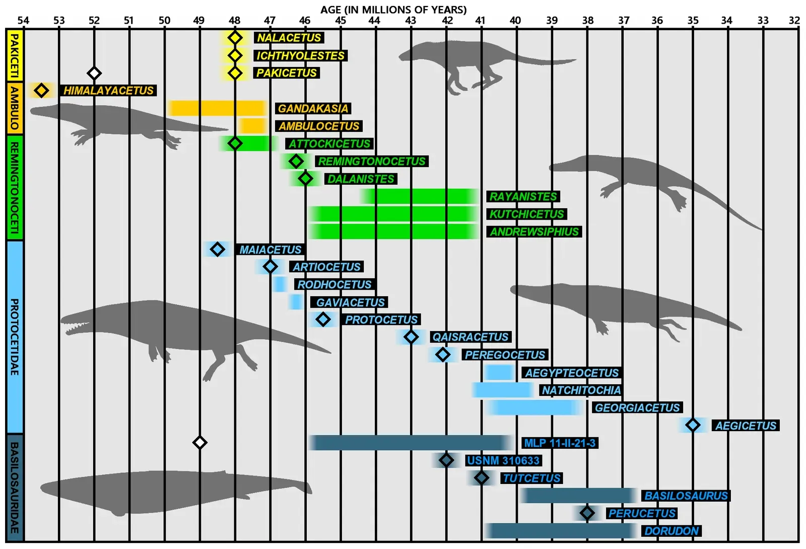 Ancient South Asia: A Tropical Highway for Early Whales (By Conty, CC BY 3.0)