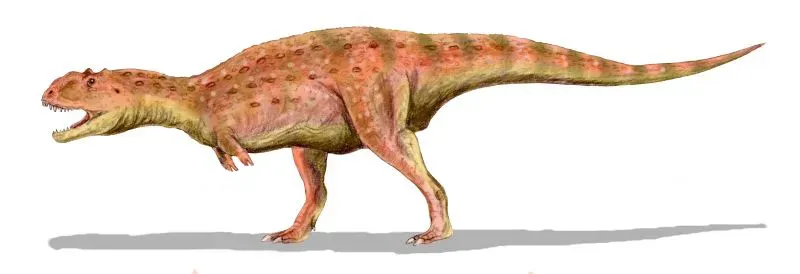 Majungasaurus: The Cannibal King of Madagascar (By Nobu Tamura (http://spinops.blogspot.com), CC BY 2.5)
