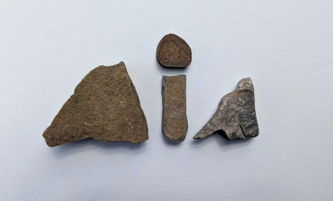 Africa: The Surprising Cradle of the First Tools (Image Credits: Unsplash)
