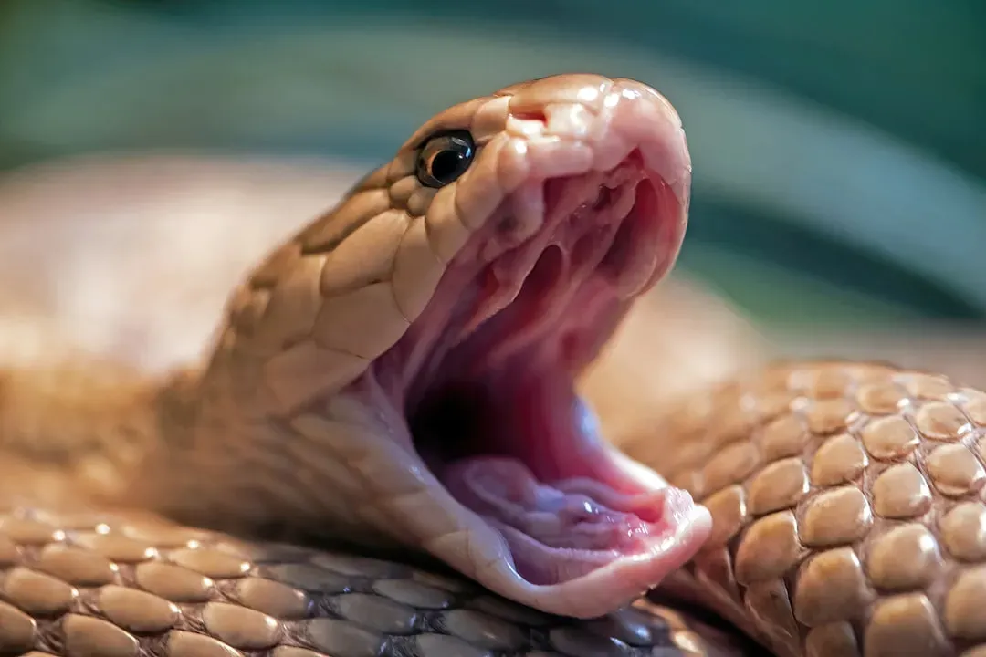 7. Modern Threats Are Deadlier, But Feel Less “Real” To Our Instincts (Image Credits: Unsplash)